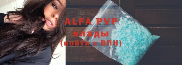 крисы Новодвинск